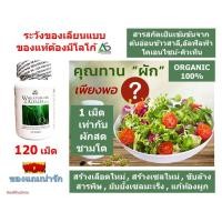 ราคา ผักเม็ด Wheatgrass & Alfalfa Plus❤ผักเม็ดนิวไลฟ์ดั้งเดิม❤ผลิตภัณฑ์เสริมอาหารแอมสตรอง วิทกราส อัลฟัลฟ่า พลัส และ Co Q10 (18571282689)