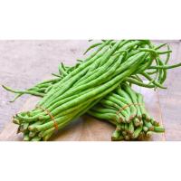 ราคา ต้นพันธุ์ ถั่วฝักยาวเขียว พร้อมปลูกในถุงดำ 29 บาท ถั่วฝักยาว เนื้อ เขียวดก ถั่วเนื้อ ติดฝักดก ฝักสีเขียวสด (29683503580)