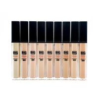 ราคา Etude House Big Cover Skin Fit Concealer Pro (22371916517)