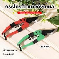 ราคา กรรไกรตัดกิ่งไม้ ขนาด6นิ้ว คีมตัดกิ่ง กรรไกรตัดกิ่งไม้ปากโค้ง กรรไกรตัดแต่งกิ่ง กรรไกรแต่งกิ่ง (42361060889)