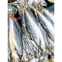 ราคา ปลาสีเสียด ปลาสีเสียดเค็ม ปลาทะเลตากแห้ง เนื้ออร่อย ไม่เค็มมาก (41075490257)
