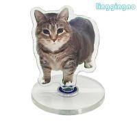 ราคา RR Interactives หมุนแมวของเล่นอัตโนมัติ Spin Keep Cats Engages มอเตอร์เงียบ USB (26294235403)