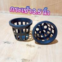ราคา กระถางกล้วยไม้ 3.5นิ้ว กลม กระเช้ากล้วยไม้ กระเช้า กระถางพลาสติก ดำ กลม (11603775643)