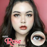 ราคา คอนแทคเลนส์ Kitty kawaii รุ่น Mini Rose Brown (1999653198)
