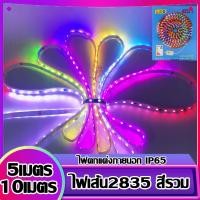 ราคา ไฟเส้นสายยาง2835 ( สายยาว 5เมตร 10เมตร สีรวม 6สี ) ไฟเส้นสายยางกระพริบ สายแบน ไฟสายยางไฟเส้นแอลอีดี LED (10298890650)