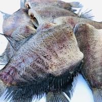 ราคา ปลาสลิดบางบ่อ ปลาสลิดแดดเดียว 1 กิโลกรัม (7-8 ตัว) (51003864291)