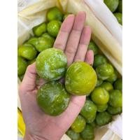 ราคา Fresh fruit By.Sunnyลูกไหนหยกมรกต ✅ 1 KG.เขียวๆ สดๆ รสชาติ กรอบนอกนุ่มใน เปรี้ยวนำอมหวานนิดๆ อร่อย (19024073685)