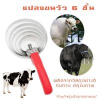ราคา แปรงเกาขนวัว แปรงเกา แพะ แกะ ม้า 6 วง - สแตนเลสแท้‼️ (7651363295)