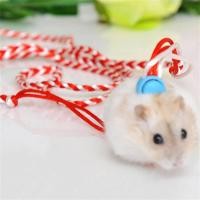 ราคา เชือกจูงหนูแฮมเตอร์ เม่นแคระ ชูก้า กระรอก พร้อมกระดิ่ง !!! แบบเชือกถัก (7443596849)