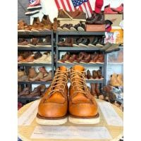 ราคา RedwingIrishSetter9875 (49456255789)