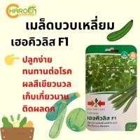 ราคา เมล็ดบวบเหลี่ยม เฮอคิวลิส F1 (แบบซองแข็ง) ตราศรแดง (23555090020)