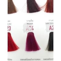ราคา โกรกเบอริน่า สีเบอริน่า A23 A24 A33 A34 A36 (25541563137)