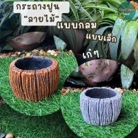 ราคา กระถางต้นไม้ กระถางปูนปั้นลายไม้ แบบกลม กระถางตกแต่งสวน (28634091806)
