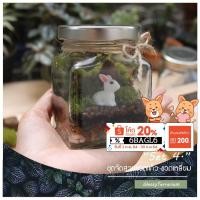 ราคา ชุดจัดสวนขวดแก้ว ทรงเหลี่ยม Terrarium Set 4 ชุดจัดสวนขวด ครบเซ็ตพร้อมส่ง (8864002963)