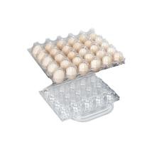 ราคา กล่องใส่ไข่พลาสติก กล่องโฟมบรรจุไข่ไก่ไข่เป็ด หลายขนาด | ราคาผู้ผลิต (41022210723)