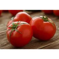 ราคา เมล็ดพันธุ์มะเขือเทศบีฟ(มะเขือเทศเนื้อหนา) (10514776679)