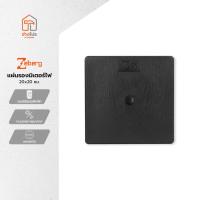 ราคา ZEBERG แผ่นรองมิเตอร์ไฟ 20x20 ซม. |EA| (29728419005)