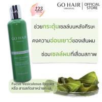 ราคา Go Hair Silky Seaweed Nutrients 250ml ✨ (26125690170)