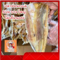 ราคา ปลาช่อนทะเลตากแห้ง ไม่เค็ม เป็น ปลาขนาดใหญ่ เนื้อบาง จืด ขนาด 200 กรัม ตัวสวย รสชาติอร่อย ออกมัน กลมกล่อม (43369485323)