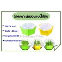 ราคา ถาดเพาะต้นอ่อนไร้ดิน ถาดเพาะกล้า ถาดเพาะเมล็ดเพาะต้นอ่อนทานตะวัน ต้นอ่อนข้าวสาลี ฯลฯ สำหรับเด็ก (11815392753)