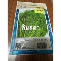 ราคา ผักชีลาว เมล็ดพันธุ์เจียไต๋ สินค้าพร้อมส่ง (481190690)