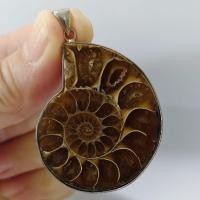 ราคา Ammonite pendant จี้ หอย แอมโมไนต์ ผ่าครึ่งตัว ครึ่งตัว หอยล้านปี จี้หอยแอมโมไนต์ คตหอย ใส่พกติดตัว เพิ่มพลัง (28177854450)