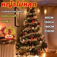 ราคา คริสต์มาส ขนาด60/120CM ต้นคริสต์มาส ต้นคริสต์มาสประดิษฐ์ ตกแต่งต้นคริสต์มาส ของตกแต่งคริสต์มาส ต้นคริสต์มาสปลอม (28014881758)