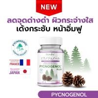 ราคา TOMIN™ Pycnogenol Plus เปลือกสนฝรั่งเศส ผิวใส ลดฝ้า วิตามินผิว ต้านอนุมูลอิสระ (26789572572)