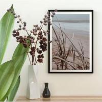 ราคา ดอกไม้แห้งประดับจากธรรมชาติ(1ชุด5ชิ้น12สาขา) (25942965548)