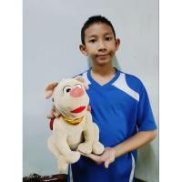 ราคา ตุ๊กตา น้องหมาซุปเปอร์แมน งานเครื่องพูดได้ไม่เห่า ป้าย superpets (27169265243)