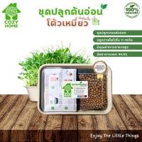 ราคา ชุดปลูกต้นอ่อนโต้วเหมี่ยว ต้นอ่อนออร์แกนิก Microgreen สำหรับคนรักสุขภาพ ชุดปลูกไมโครกรีนปลูกง่ายโตไว (14254504333)