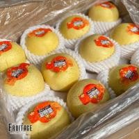ราคา สาลี่ทอง (CHN) (ยกลัง24ลูก) Premium Chinese Pears หอม หวาน อร่อย!ผลไม้ต่างประเทศ ผลไม้นำเข้า (ขายส่ง ราคาส่ง) (11172822709)