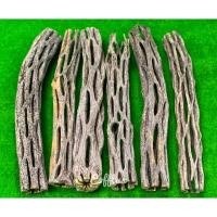 ราคา 1 ชิ้น Cholla wood แกน กระบองเพชร คอลล่าวู้ด คัดลายสวย จากอเมริกา อาหารธรรมชาติของกุ้ง ไม่เป็นอันตราย ที่หลบภัย บ้านกุ้ง (5147852832)