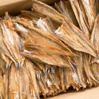 ราคา ปลาช่อนทะเล ปลาหัวขาด ปลาแห้ง ปลาช่อนทะเลไซส์ใหญ่ (42923301582)