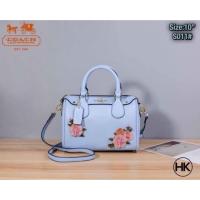 ราคา โค๊ชหมอน สีฟ้าลายดอก 10” (2128579342)