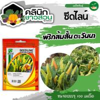 ราคา ซีดไลน์ พริกส้มสั้นคัดพิเศษ ตะวันนา ขนาดบรรจุประมาณ 100 เมล็ด (21482543731)