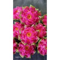 ราคา K04 พร้อมส่งเหรียญโปรยทานดอกบัวหลวงฉัตร ตัวเปล่า 10 ดอก (25317806260)