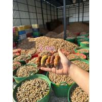 ราคา มะขามหวาน(สุกปนหมู)พันธุ์สีทอง2กิโล ส่งตรงจากเพชรบูรณ์ (58005381086)