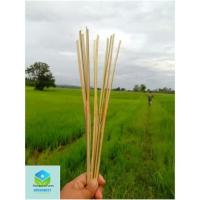 ราคา ตอกไม้ไผ่/ตอกมัดกล้าทำจากไม้ไผ่สำหรับห่อข้าวต้มมัด/เสียบหมูพวง(บรรจุ100เส้น) (52102085523)
