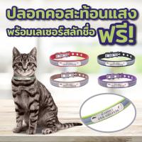 ราคา พร้อมส่ง! ปลอกคอแมวสลักชื่อ ปลอกคอหมาสลักชื่อ สลักชื่อฟรีด้วยเลเซอร์ สะท้อนแสง ปรับขนาดได้ ทนทานทำจากหนังเทียมอย่างดี (3019909952)