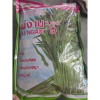 ราคา เมล็ดผักบุ้งจีน ไผ่งาม เบอร์ 9 ขนาด 1 กิโลกรัม โตเร็ว ใบเรียวแหลม ต้นอวบ เมล็ดผักบุ้ง ตรา ตะวันต้นกล้า (42102101860)