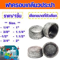 ราคา ฝาครอบ เกลียวประปา 1/4"-2"นิ้ว ฝา ฝาครอบประปา ฝาครอบเหล็ก ประปา อุปกรณ์ เหล็ก ระบบประปา ฝาครอบท่อ เหล็กประปาเกลียว ABP (20067296001)