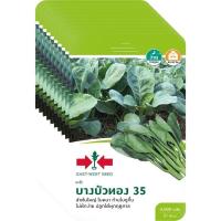 ราคา เมล็ดพันธุ์ คะน้าบางบัวทอง 35 ตราศรแดง ตราศรแดง ขายส่ง ยกห่อ (1 ห่อ บรรจุ 10 ซอง) (42277404012)