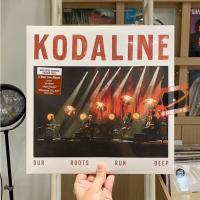 ราคา แผ่นเสียง Kodaline – Our Roots Run Deep (Exclusive Maroon Colour Vinyl) (40909325244)