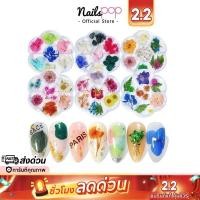 ราคา พร้อมส่ง⚡ ดอกไม้แห้ง ดอกไม้ติดเล็บ ดอกไม้แห้งติดเล็บ อุปกรณ์ตกแต่งเล็บ ดอกไม้แต่งเล็บ @nailspop (19313810741)