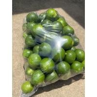 ราคา มะนาว มะนาวแป้นส่งตรงจากสวนเกษตร 5 กิโล (17437344884)