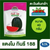 ราคา เมล็ดพันธุ์ ตะวันต้นกล้า แตงโม กินรี SP BIG ขนาด 40 กรัม (23582162929)
