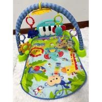 ราคา เพลยิม fisher price เพลยิมเปียโน (21331281053)