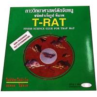 ราคา T-RAT กาววิทยาศาสตร์ดักจับหนูทีแรทชนิดสำเร็จรูป (1กล่อง)(Deep green) (295518171)