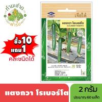ราคา เจียไต๋ (ซื้อ10แถม1) แตงกวา โรเบอร์โต้ ขนาด0.5กรัม ประมาณ40เมล็ด Japanese Cucumber แตงกวา เมล็ดพันธุ์พืช เมล็ดผัก ปลูกผั (6738212351)